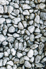 Natural Pebble Stone Texture – Decorative Garden Gravel Background