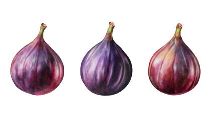 Set of Ripe Figs Isolated on Clean White Background
