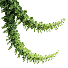 Lush Green Succulent Plant Branch, Elegant Natural Design Element