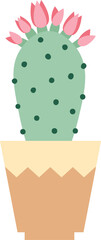 Light green cactus with pink flowers growing on top, placed in a terracotta pot with a zig zag edge, isolated on a white background, representing growth, nature, and home decoration
