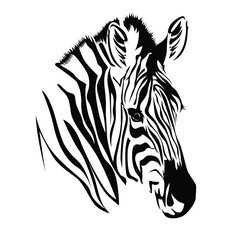 A black and white striped zebra, a wild mammal related to the horse, is shown in vector illustration