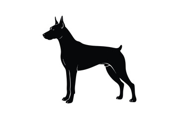 Silhouette art illustration of a Doberman Pinscher.eps