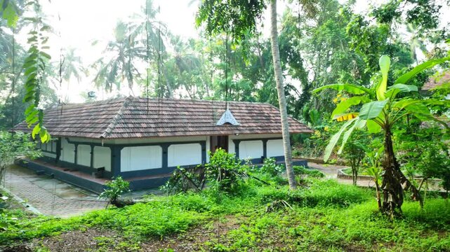 Serene Rural Kerala Hindu Temple Surrounded by Lush Green Trees at Sunrise