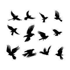 Obraz premium Flying Bird Silhouette in Full Spread Set