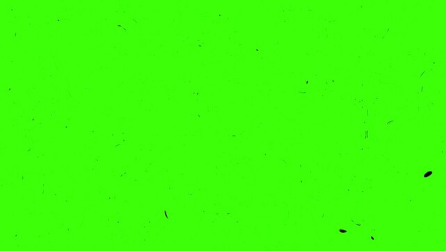 Vintage film scratches and grain texture overlay with dust particles, linear scratches, noise effects, Noise, dust and grain on old damaged film surface. Old film green screen overlay,