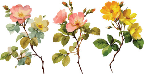 Spring flowers collection Floral and leaf card. watercolor design. For banners, posters,