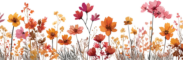  flowers cosmos arrangement flat lay postcard style Nature background with wild flowers