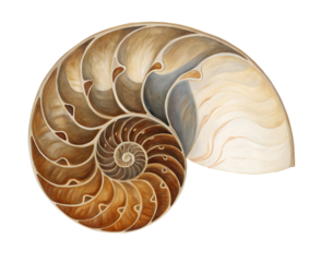 Sea shell abstract oil painting poster living room idea decoration, seashell fossil concept art deco By Adamantium Stock PNG File AI Creation 