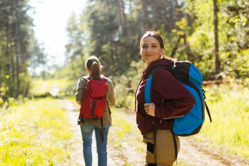 Exploring the serene wilderness, two friends embark on an adventurous hiking journey in a vibrant...