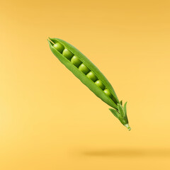 Fresh raw ripe Pods of Green Peas falling in the air isolated on yellow background. Food levitation...