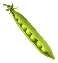 Fresh raw ripe Pods of Green Peas falling in the air isolated on white background. Food levitation...