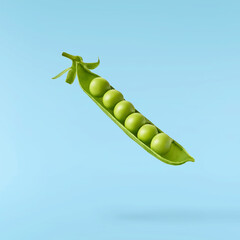 Fresh raw ripe Pods of Green Peas falling in the air isolated on blue background. Food levitation...