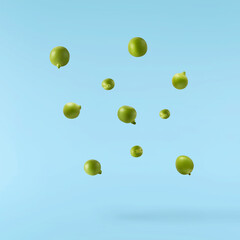 Fresh raw Green Peas falling in the air isolated on blue background. Food levitation or zero...