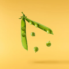 Fresh raw ripe Pods of Green Peas falling in the air isolated on yellow background. Food levitation...