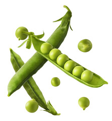 Fresh raw ripe Pods of Green Peas falling in the air isolated on white background. Food levitation...