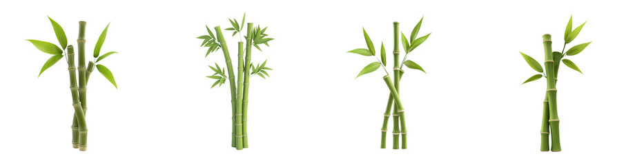 Diverse green bamboo plants collection isolated transparent background perfect for nature designs and asian themed projects