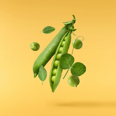 Fresh green rosemary herb falling in the air isolates on yellow background