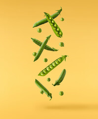 Fresh raw ripe Pods of Green Peas falling in the air isolated on yellow background. Food levitation...