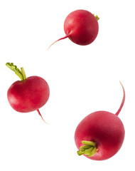 Fresh raw Red Radish with green leaves falling in the air isolated on white backgriund. Food...