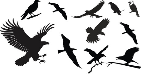 set of silhouettes of different birds black art