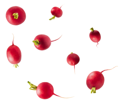 Fresh raw Red Radish with green leaves falling in the air isolated on white backgriund. Food levitation or zero gravity conception.