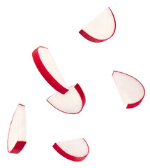 Fresh raw Red Radish with green leaves falling in the air isolated on white backgriund. Food...