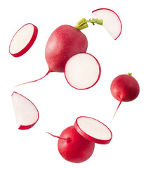 Fresh raw Red Radish with green leaves falling in the air isolated on white backgriund. Food...
