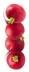 Fresh raw Red Radish with green leaves falling in the air isolated on white backgriund. Food...