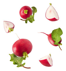 Fresh raw Red Radish with green leaves falling in the air isolated on white backgriund. Food...