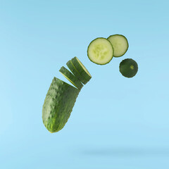 Fresh raw cucumber  falling in the air isolated on blue background. Food levitation or zero gravity...