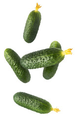 Fresh raw cucumber  falling in the air isolated on white background. Food levitation or zero gravity conception