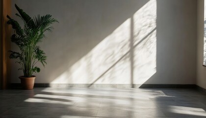 Concrete wall surface with soft light vignette indoor space photography minimalist environment textured viewpoint