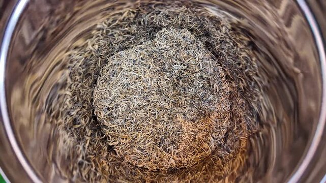 Dried golden needle tea heap in a stainless steel container.