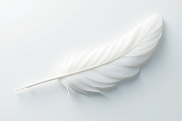 Obraz premium Swirling white feathers against a stark white backdrop, high resolution, monochrome, ethereal