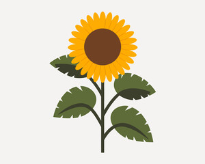 Cheerful Sunflower Vector Illustration on White Background Stock Image