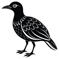 Fototapeta premium A oilbird-vector-style-illustration 