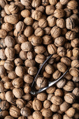 Nutcracker surrounded by walnuts, concept of natural snack and nutrition