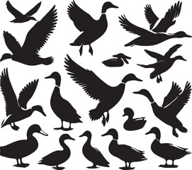 Fototapeta premium Silhouette Ducks Clipart – Flying & Standing Duck Vector Graphics