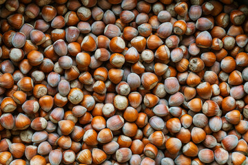 Close-up of many hazelnuts in bulk, natural food background