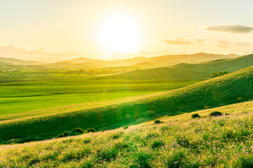 Obraz premium panoramic spring season landscape of beautiful greel field with yellow and salad hills and mountains in countryside