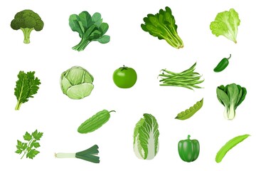 Various of vegetable set on white background. Cabbage, spinach, tomato, green peas, bitter melon, bell pepper,  green beans, broccoli, kale, lettuce, chili isolated. Assortment of green vegetables