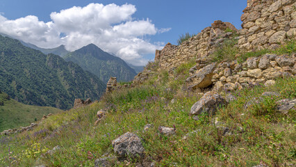 Flowers are blooming on the ruins of an ancient city in the mountains. Nature in the mountains in summer. Stone blocks of buildings of the ancient city.