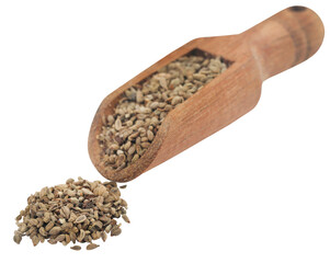 Radhuni or wild celery