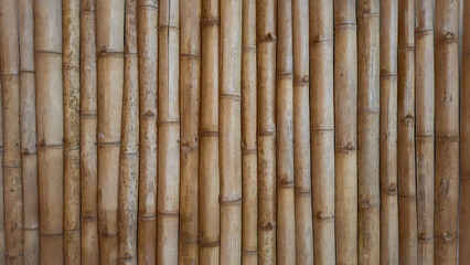 Fototapeta premium yellow bamboo pattern background