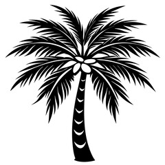Obraz premium Black and White Coconut Tree Minimal Design for Nature Art