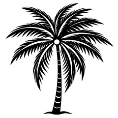 Fototapeta premium Black and White Coconut Tree Minimal Design for Nature Art