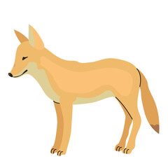 Coyote icon clipart avatar logotype isolated illustration