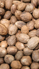 Nutmeg on the counter in the supermarket. Prepared for sale. Healthy food