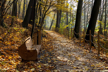 A late autumn road in the park with soft sunlight and a wooden bench