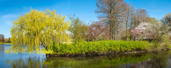 Hamburg, Germany. The City Park (German: Stadtpark) in spring.